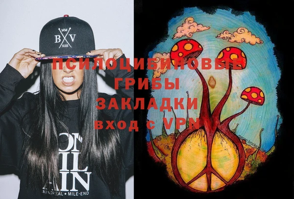 PSILOCYBIN Сосновка